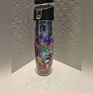 Disneyland Resort Water Bottle Double Wall Insulated